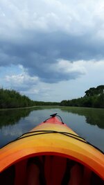 Kayaking Through the Marsh