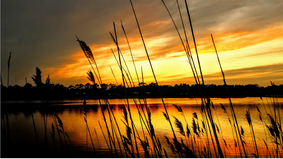 Golden Hour on the Lake