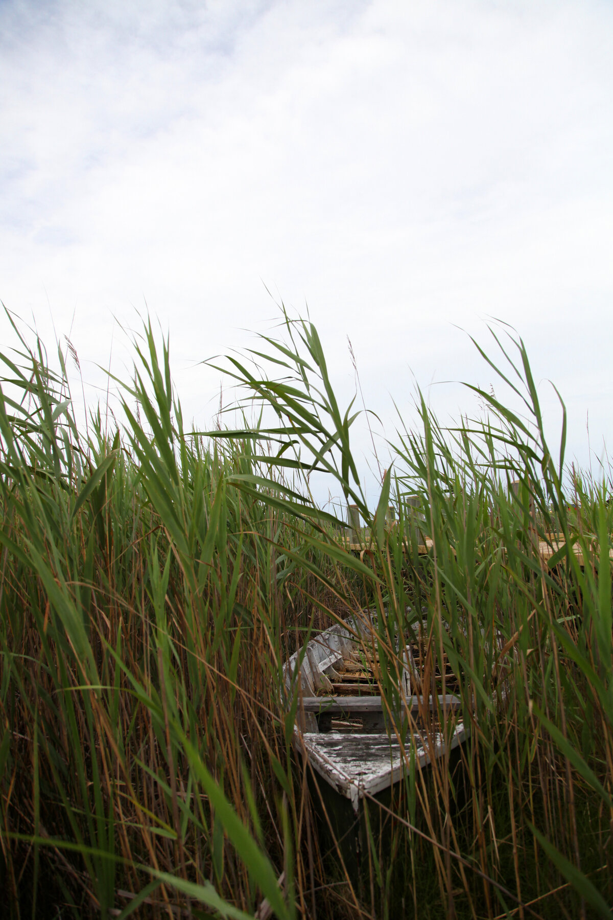 Forgotten Boat in the Marsh