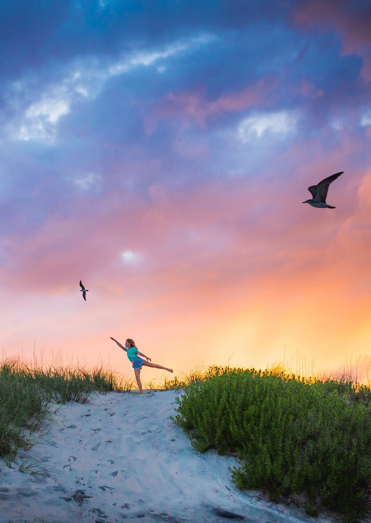Dancing Among the Seabirds