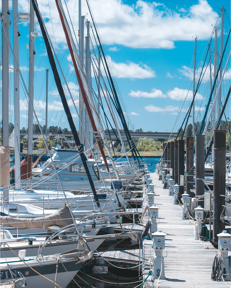 Sailboats at the Marina