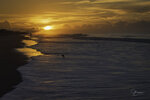 Shorebird at Sunrise