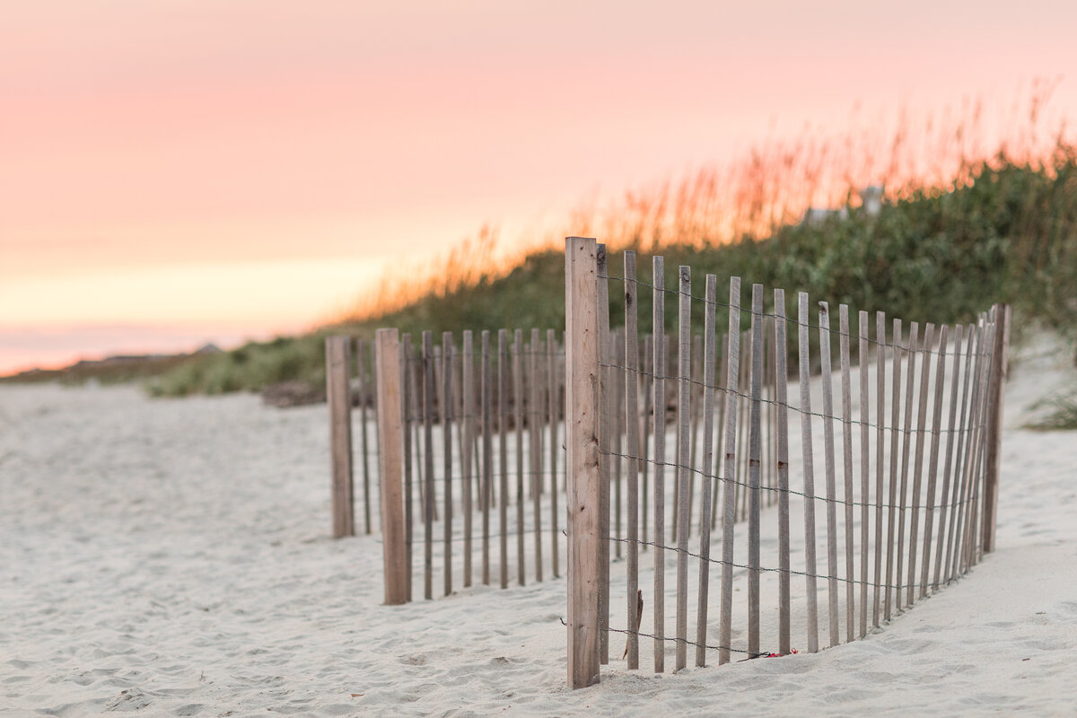 Dune Fences at Sunset