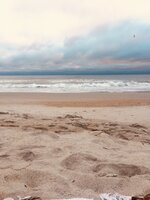 Footprints at Low Tide