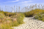 Path to the Sound