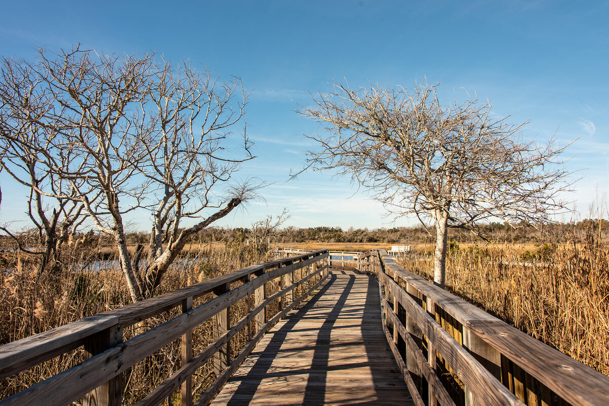 Long Walk in Winter