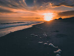 Sunset Trail Along the Shore
