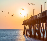 Gulls Over the Fishing Pier