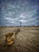 Driftwood Below Oak Island Lighthouse