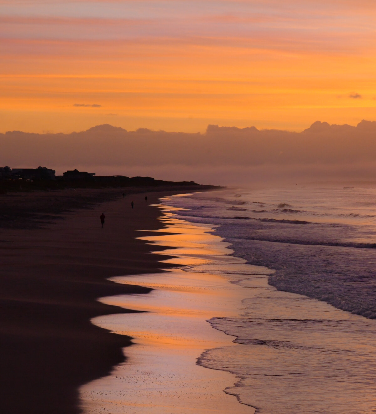 Morning Walk Along the Shore