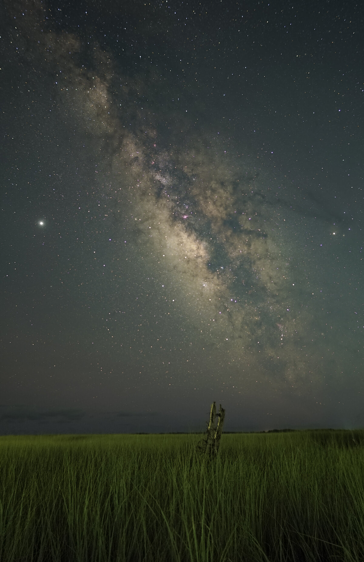 Milky Way Over the Marsh