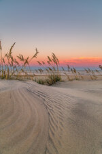 Sea Oats at Sunset