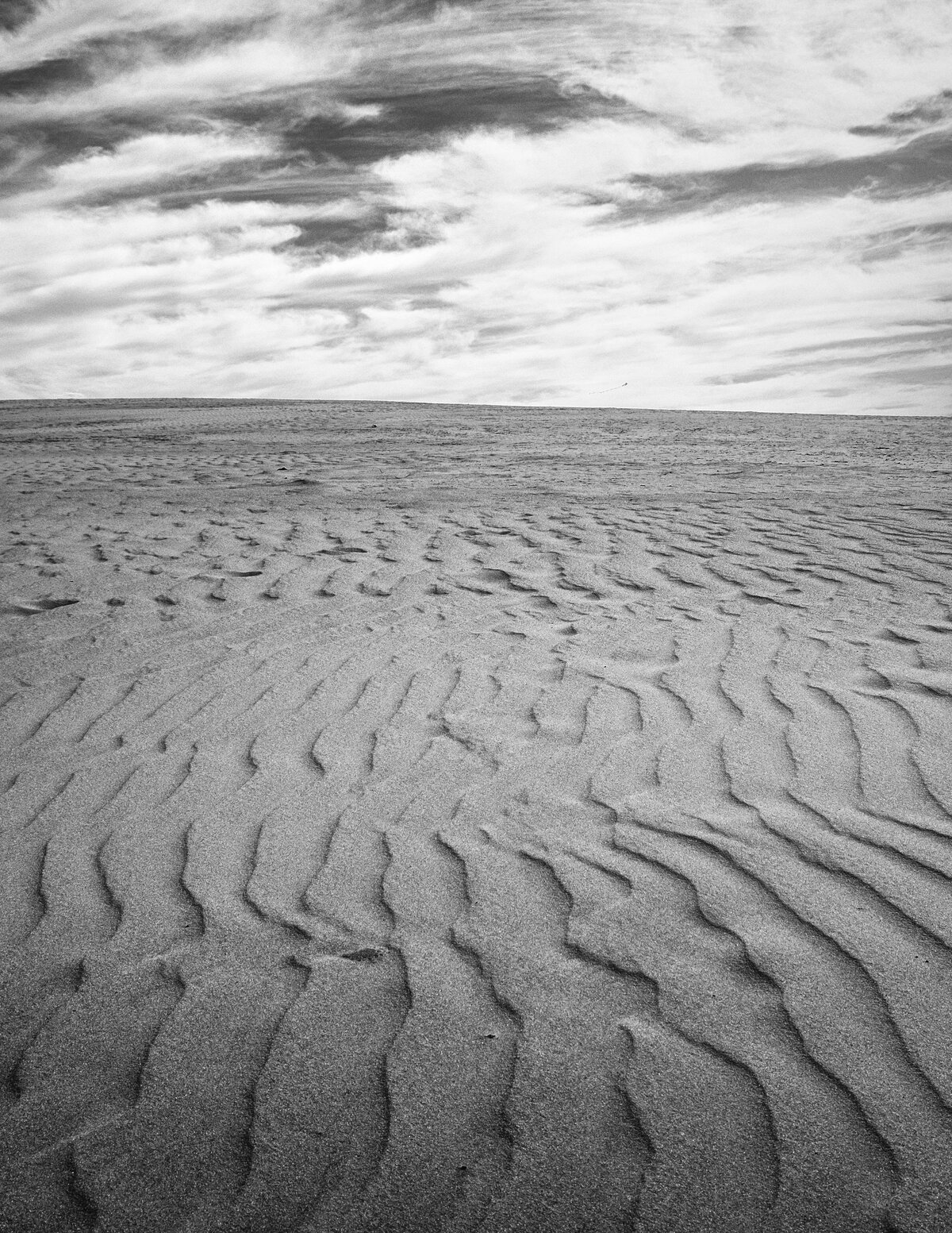 Windswept Dune Ripples