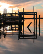 Marina at Sunset