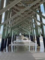 Under the Pier at Low Tide