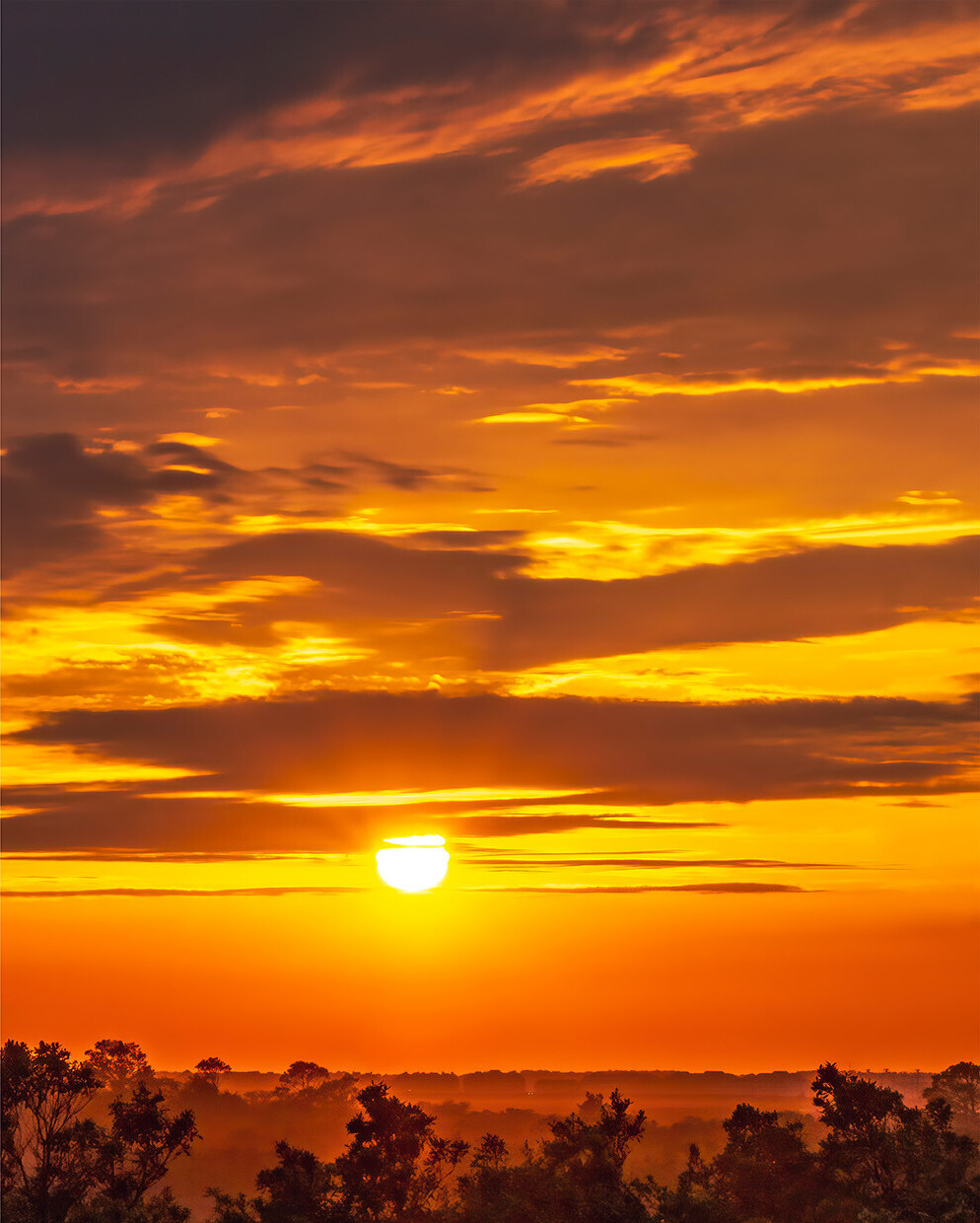 Fiery Sunrise