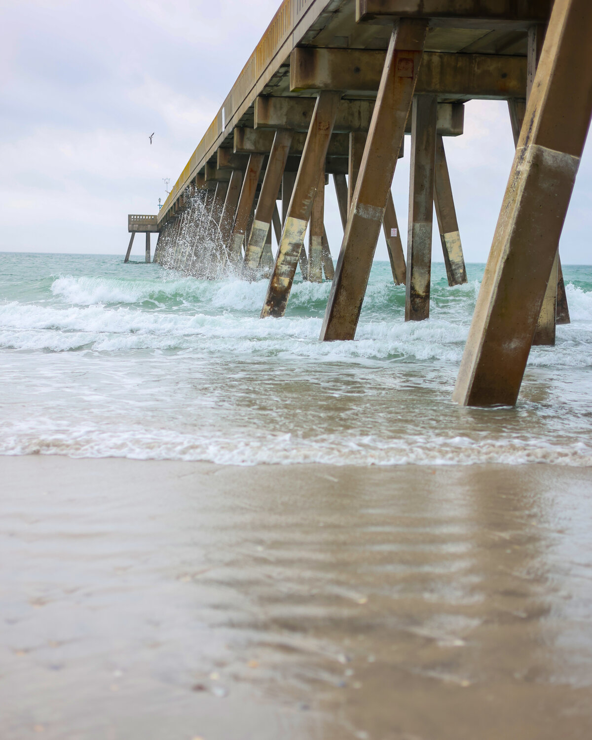 Under the Fishing Pier