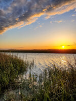 Marsh Creek at Golden Hour