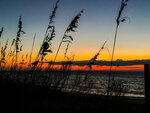 Sea Oats at Sunset