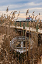 Old Skiff in the Marsh