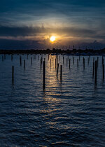 Marina at Dusk
