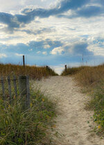 Path to the Shore