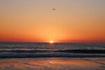 Bird Against the Setting Sun