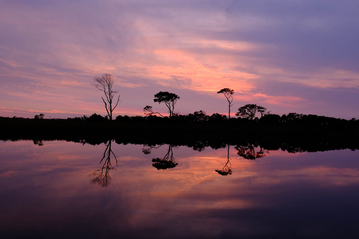 Twilight Tree Line Reflection