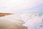 Shell-Strewn Shoreline