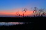 Marsh Sunset Silhouettes
