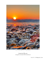 Sunrise Through the Shell Bed