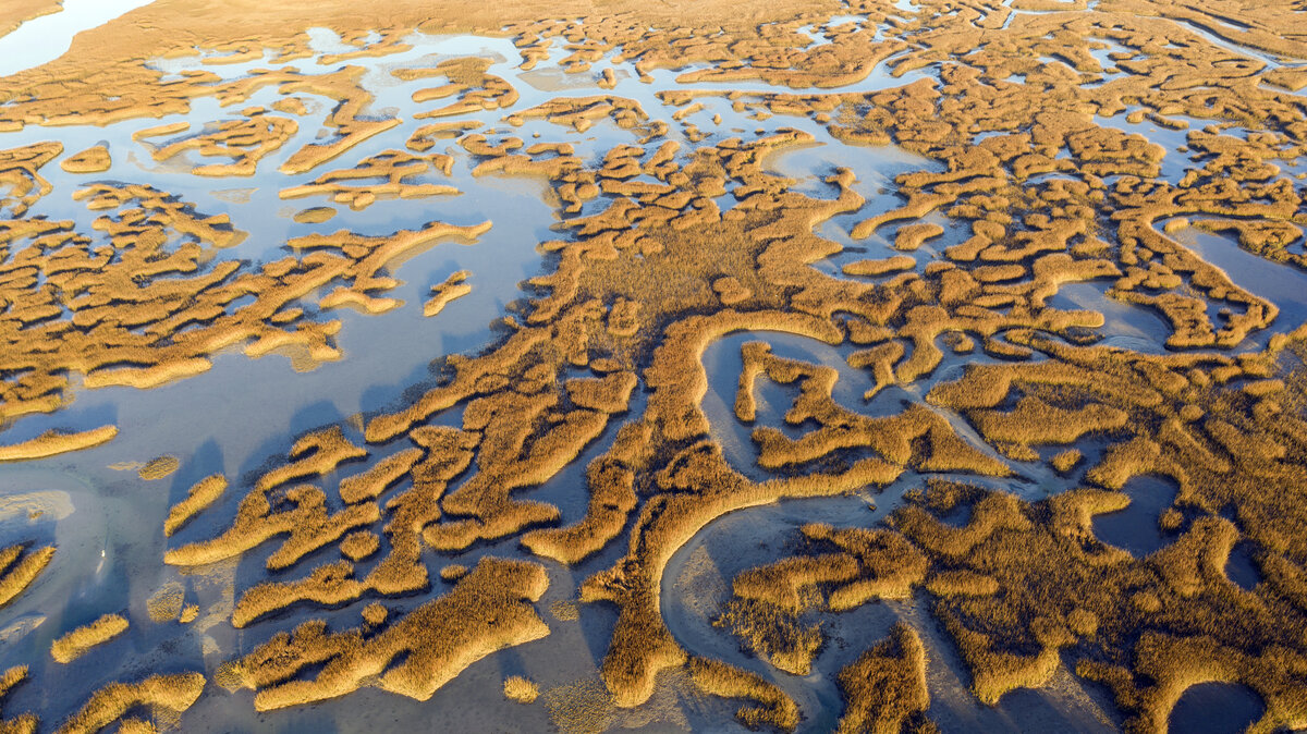 Marsh Aerial