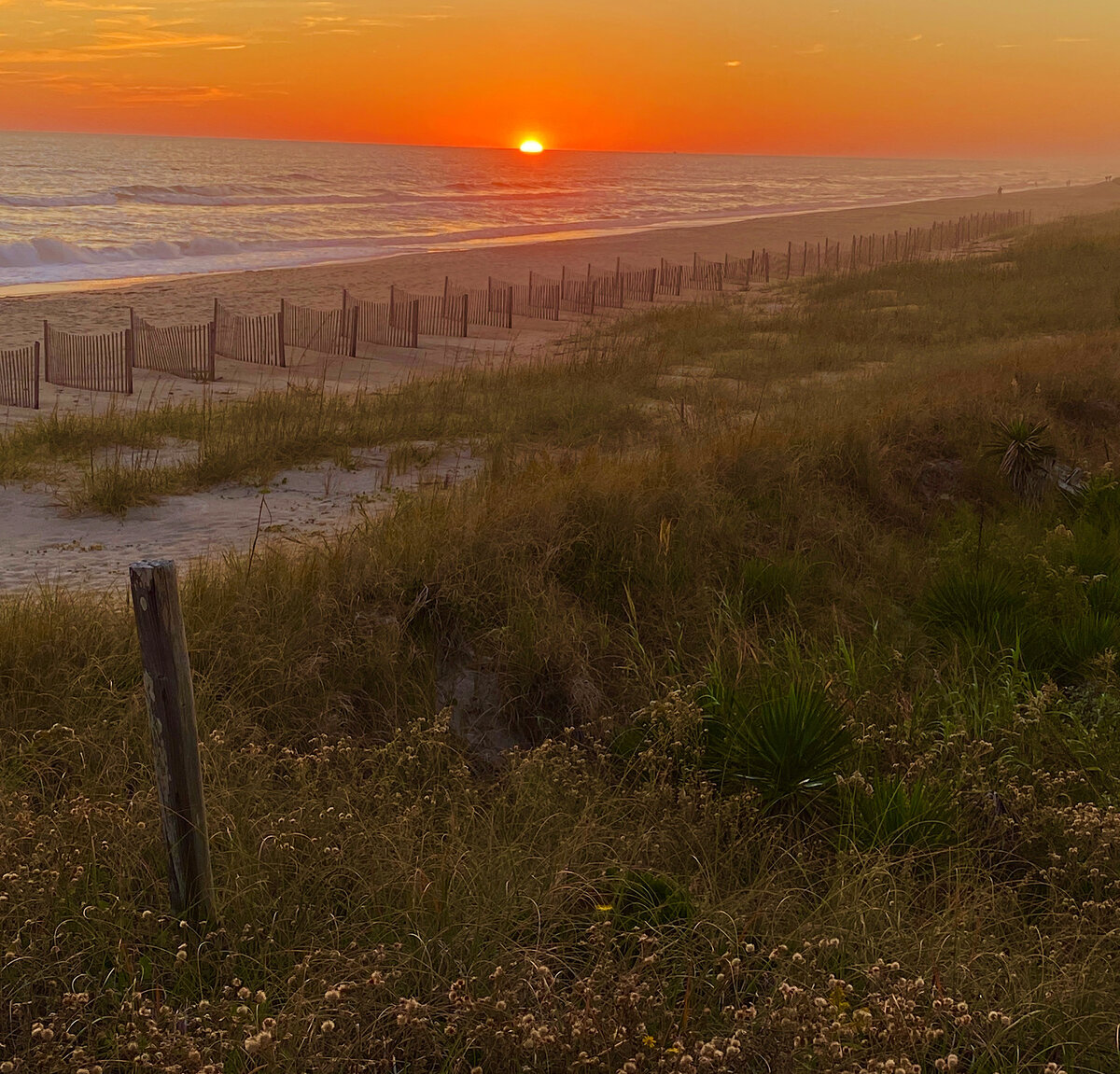 Fall sunset