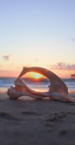 Jennette's Pier Sunrise