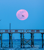 Flower Moon Rising Over Oak Island