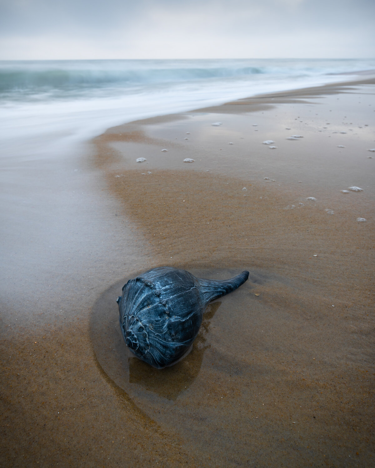 Outer Banks Treasure